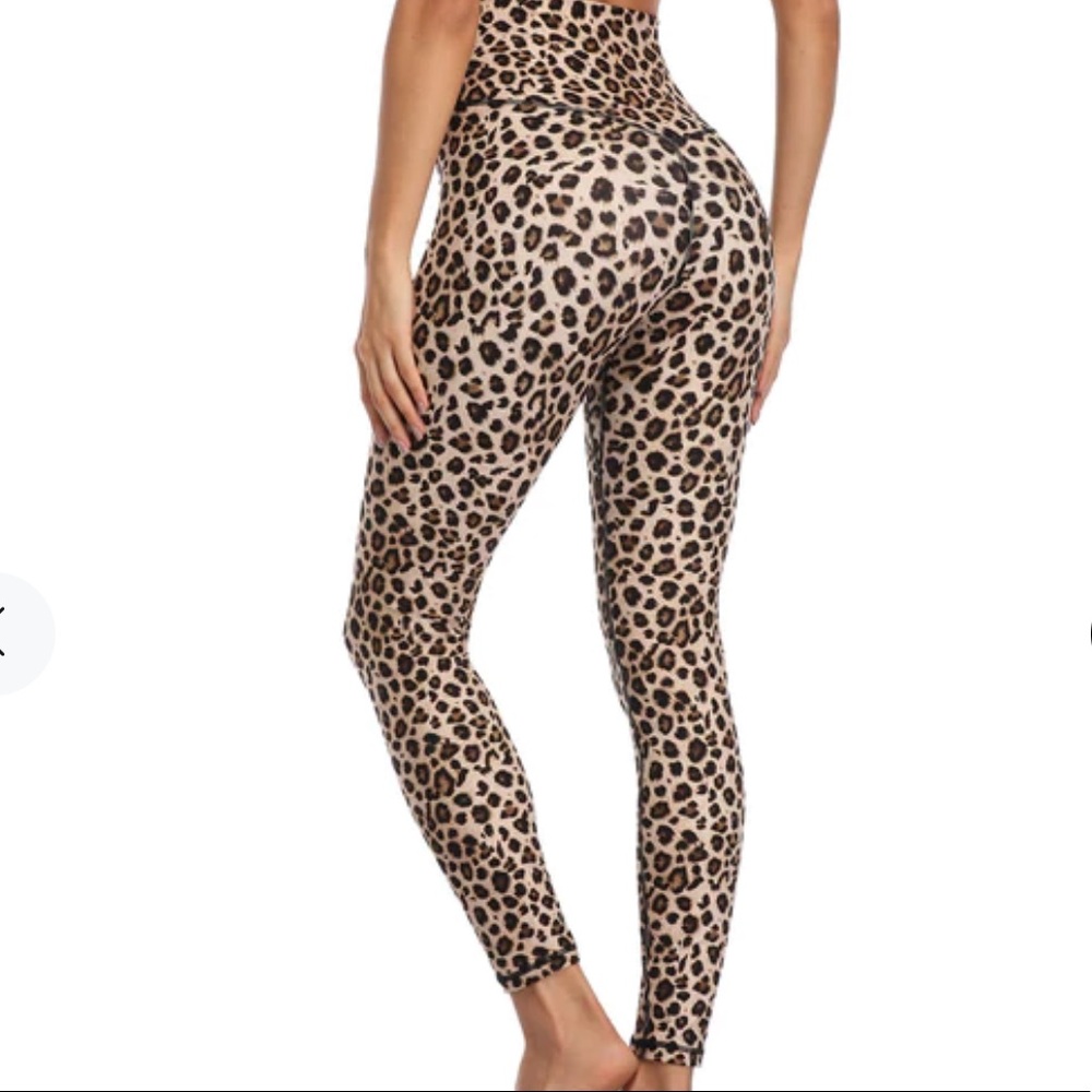 Colorful koala leggings